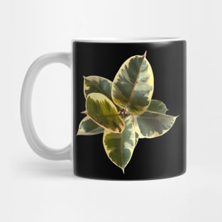 Ficus elástica tineke Mug